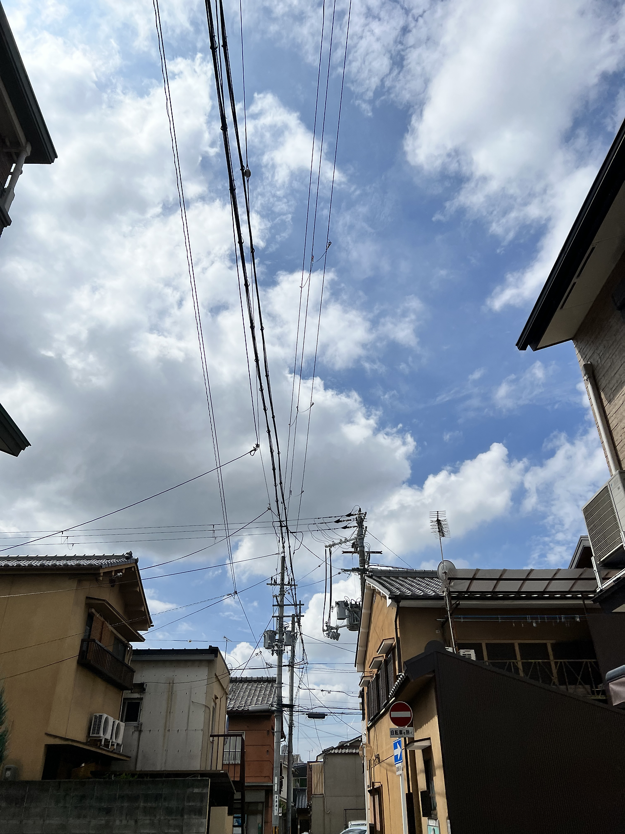 일본 여행 사진