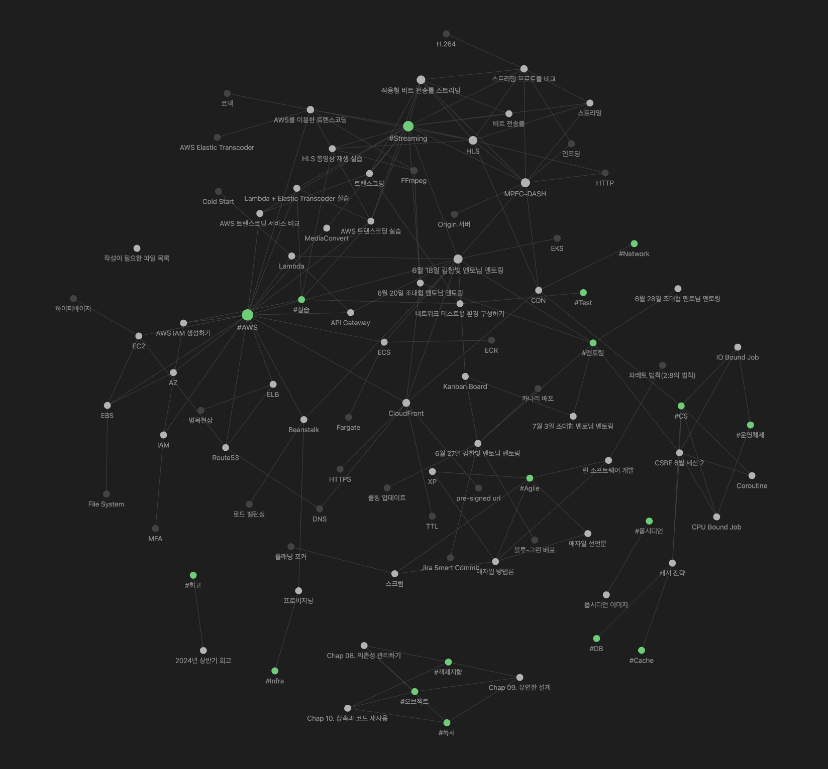 Obsidian은 그래프뷰 보는 맛으로 쓰고 있다