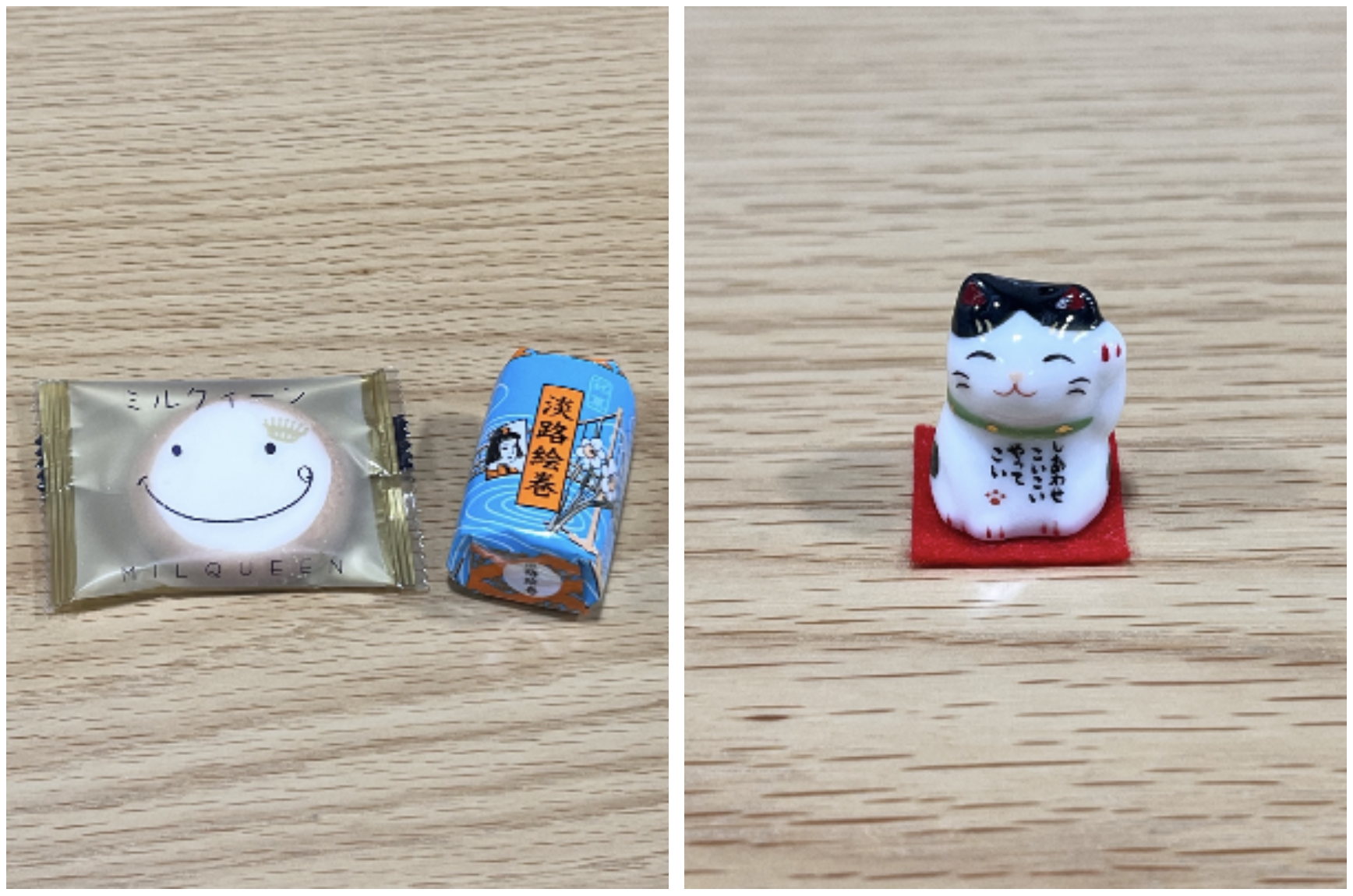 일본에서 온 고양이